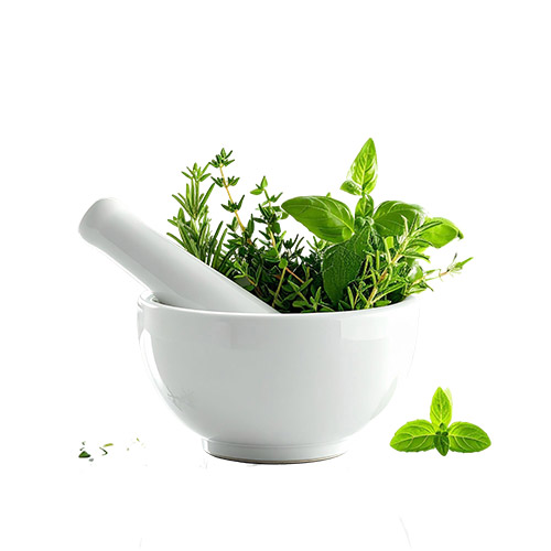 Pure Herbal Manufacturer in Delhi